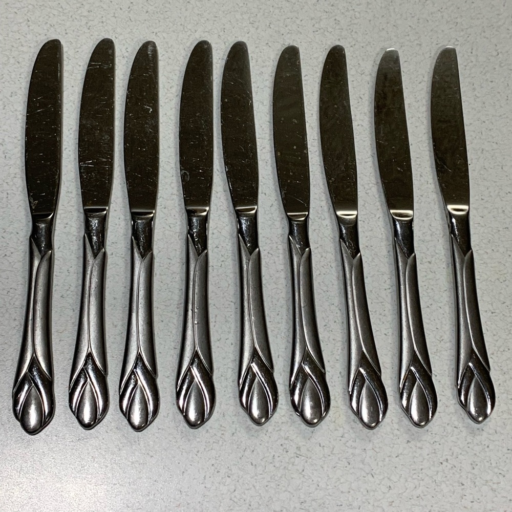 9 Hampton Silversmiths ROSE BUTTER KNIVES Stainless Glossy Discontinued Pattern